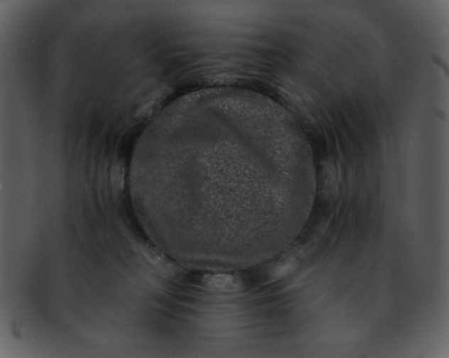 X0000093120230200710171252