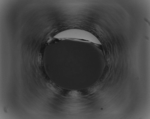 X0000093120231200710171252