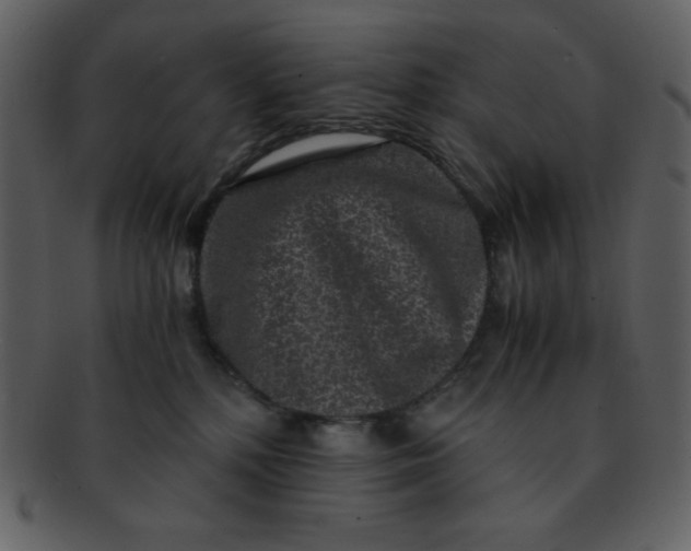 X0000093120232200710171252