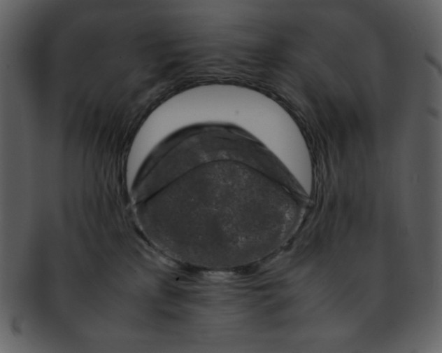 X0000093120233200710171252