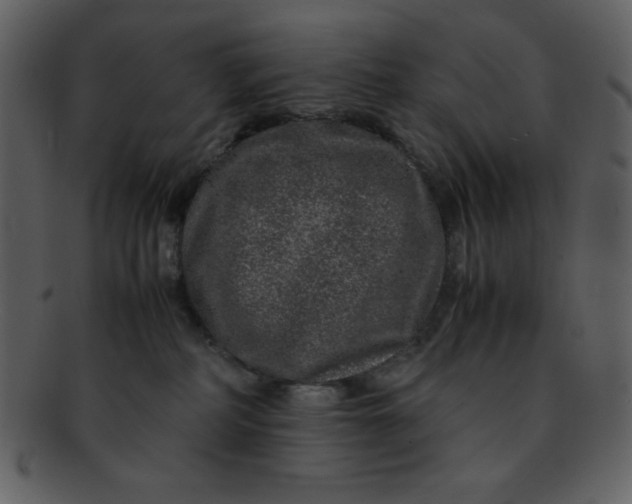 X0000093120234200710171252