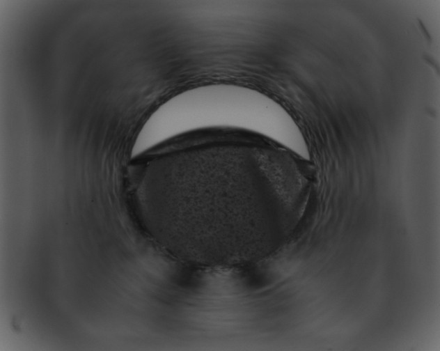 X0000093120235200710171252