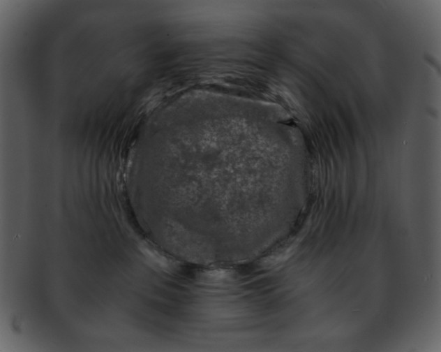 X0000093120237200710171252