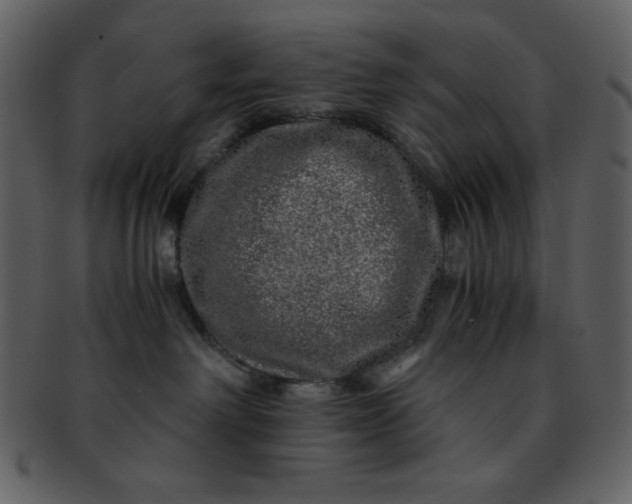 X0000093120238200710171252