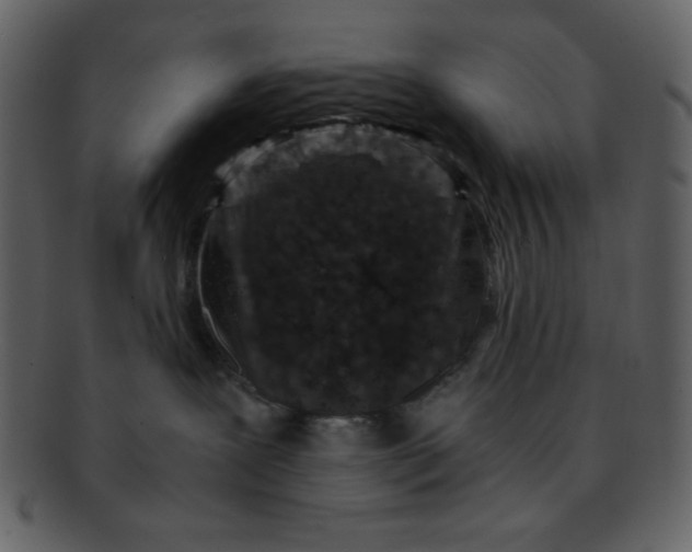 X0000093120239200710171252