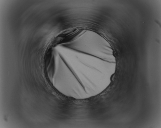 X0000093120241200710171252