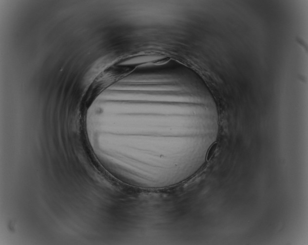 X0000093120242200710171252