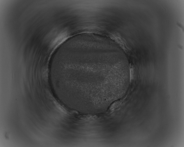 X0000093120243200710171252