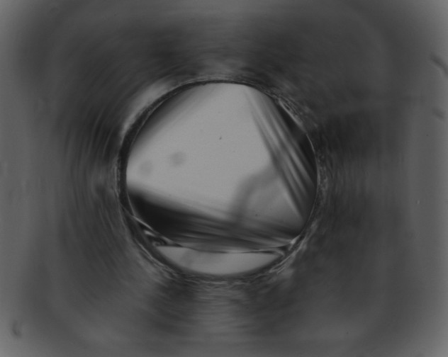 X0000093120244200710171252