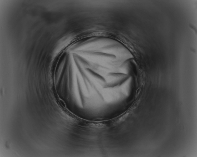 X0000093120245200710171252