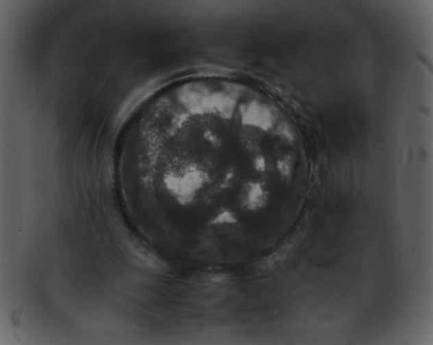 X0000093120247200710171252