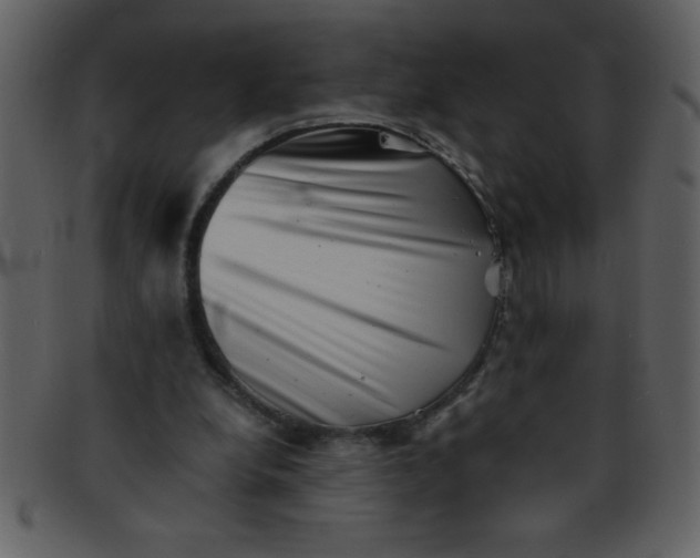 X0000093120248200710171252