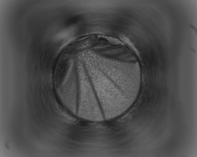 X0000093120249200710171252