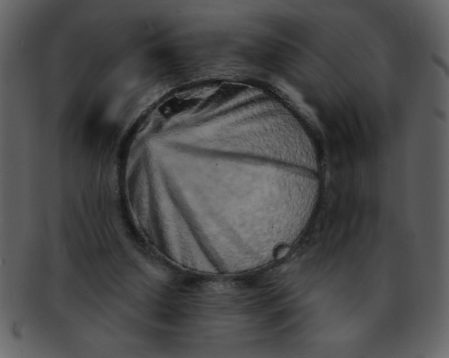 X0000093120250200710171252