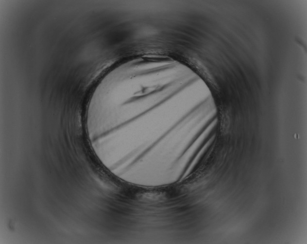 X0000093120251200710171252