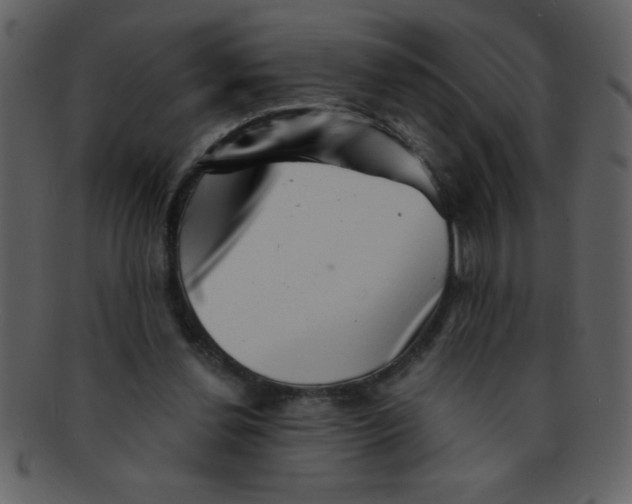 X0000093120252200710171252