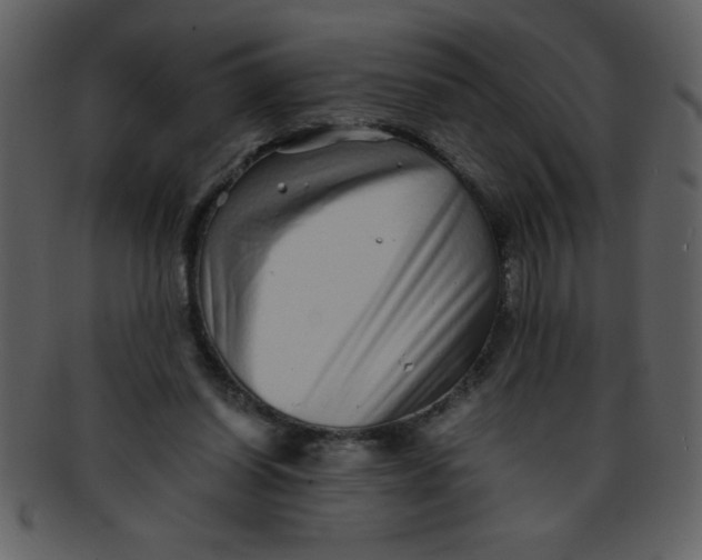 X0000093120254200710171252