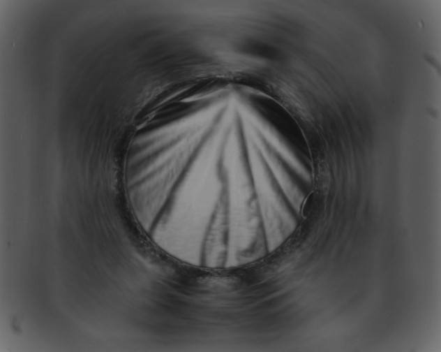 X0000093120255200710171252