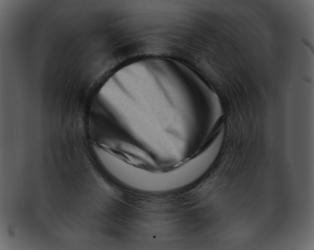 X0000093120256200710171252