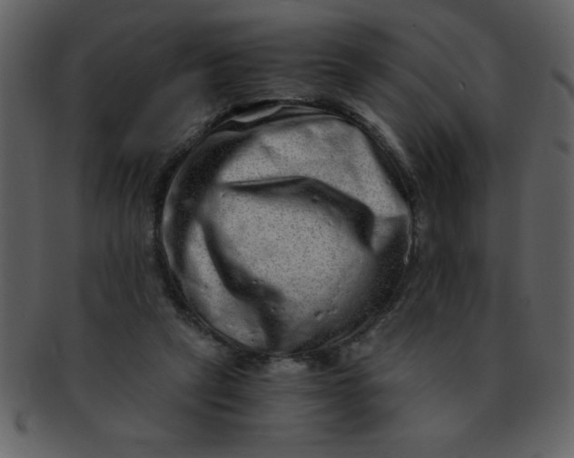 X0000093120257200710171252