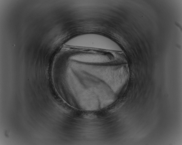 X0000093120258200710171252