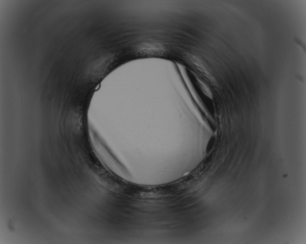 X0000093120259200710171252