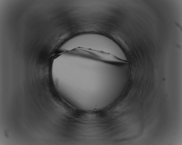 X0000093120260200710171252