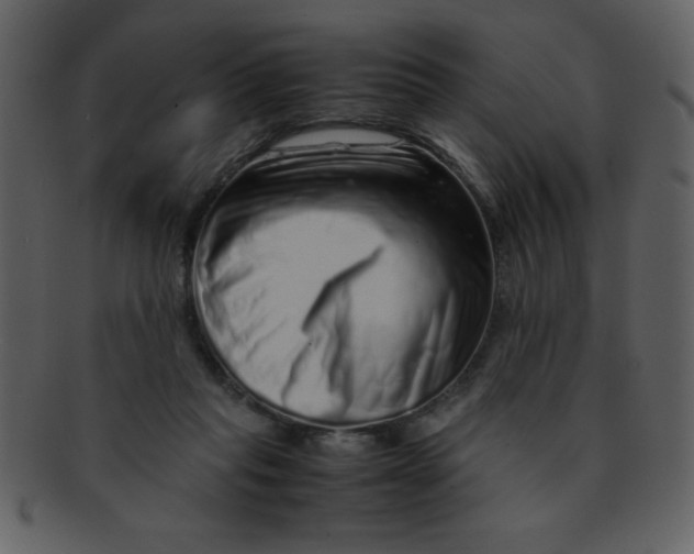 X0000093120261200710171252