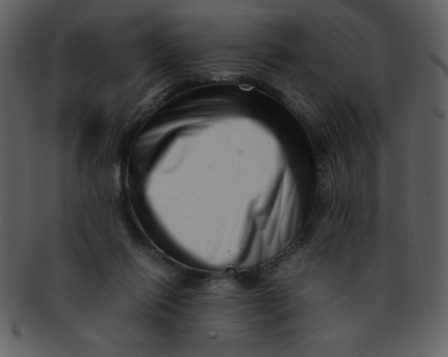 X0000093120262200710171252