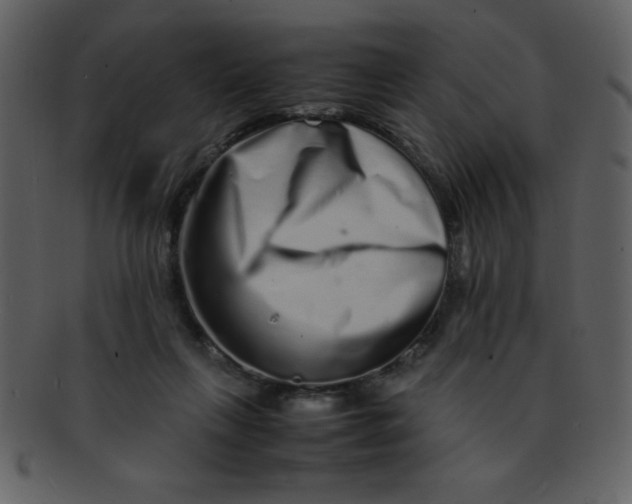 X0000093120263200710171252