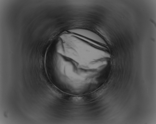 X0000093120265200710171252