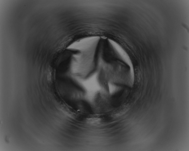 X0000093120266200710171252