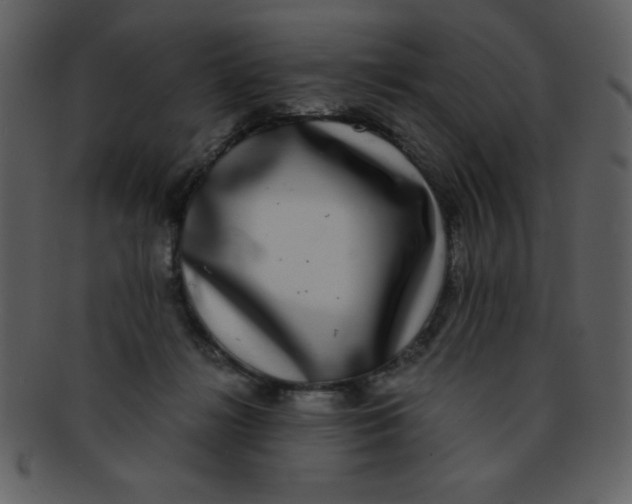 X0000093120268200710171252