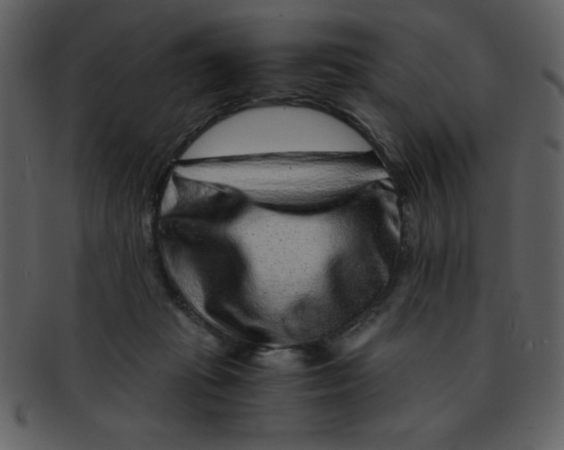 X0000093120269200710171252