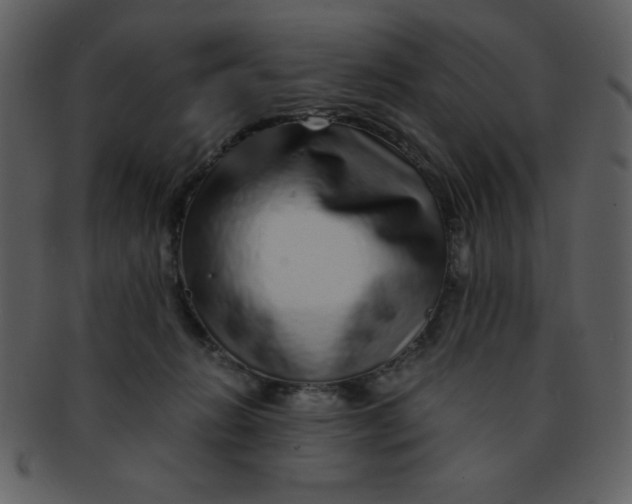 X0000093120270200710171252