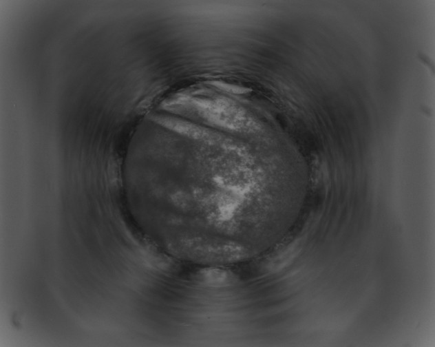 X0000093120272200710171252