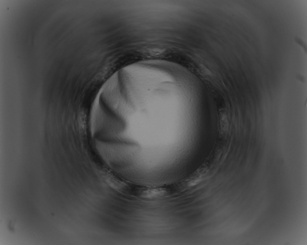 X0000093120274200710171252