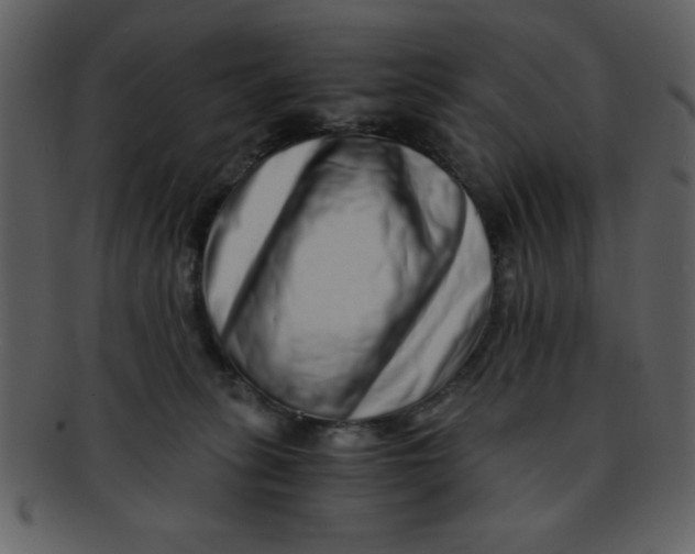 X0000093120275200710171252