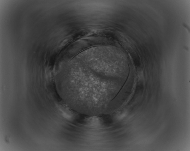 X0000093120276200710171252