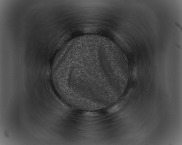 X0000093120277200710171252