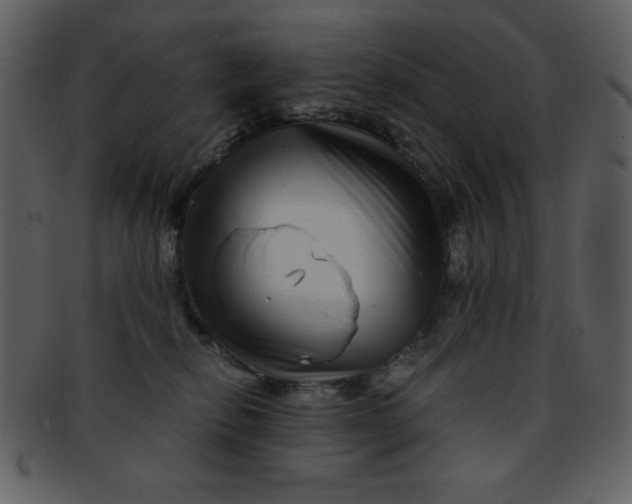 X0000093120278200710171252