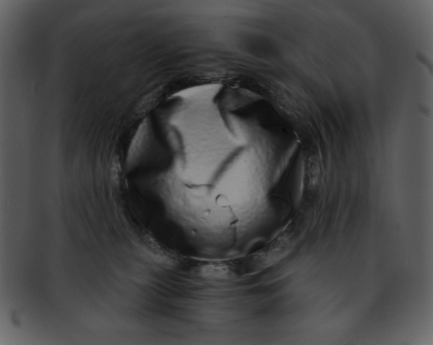 X0000093120279200710171252