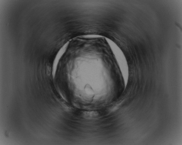 X0000093120281200710171252