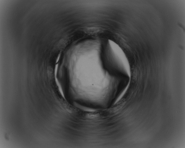 X0000093120283200710171252