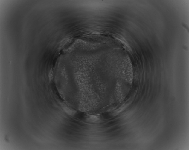 X0000093120285200710171252