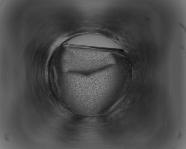 X0000093120294200710171251