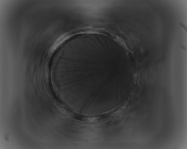 X0000093120295200710171251