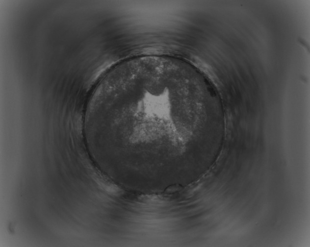 X0000093120297200710171251