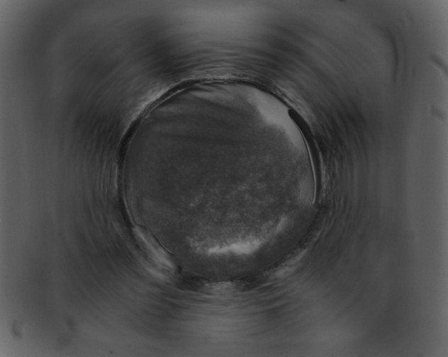 X0000093120301200710171251