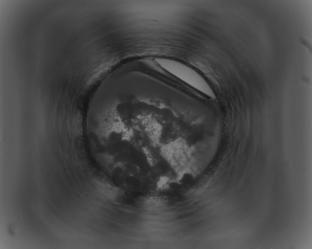 X0000093120303200710171251